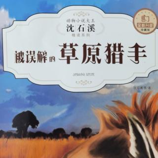 沈石溪动物小说大王《被误解的草原猎手》