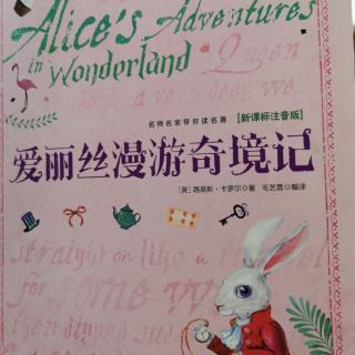 爱丽漫游奇境记—神奇的兔子洞 奇妙的感觉 眼泪的池塘
