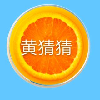 毛毛和涛涛