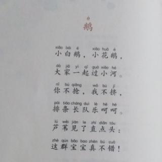 《鹅》