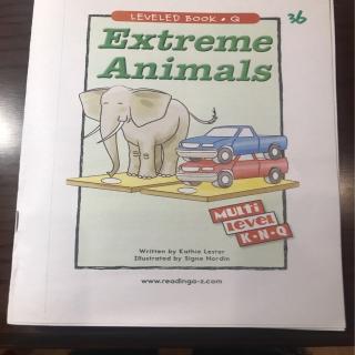 Extreme Animals