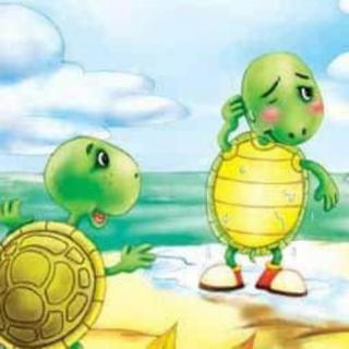 《小艾故事一箩筐》—7月5日  骄傲的小乌龟