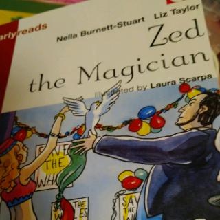 魔术师Zed--第六页