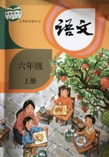 语文书六年级上册  第二课《丁香结》