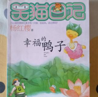 刘俊辰阅读《幸福的鸭子》。