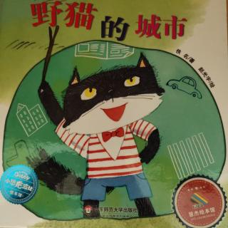 野猫的城市