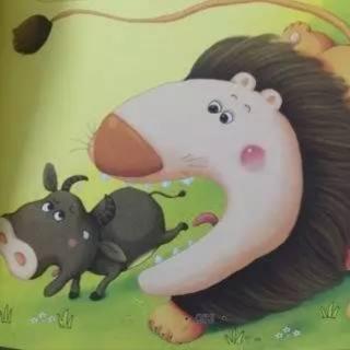 儿童故事——《贪吃的小狮子》