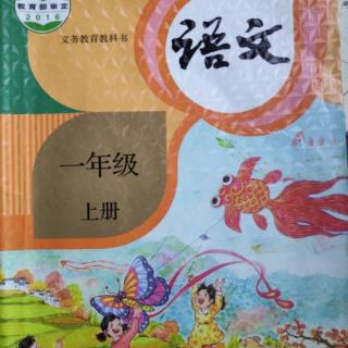 一年级上册《语文》汉语拼音第十课时：欢迎台湾小朋友