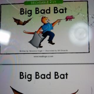 Big Bad Bat