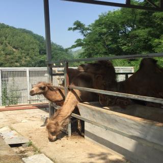 田家声诗两首