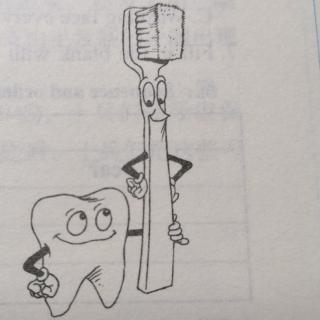 The  History   of   Toothbrush