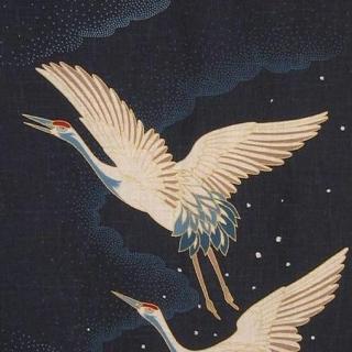 【心理童话】158、白鹤和雨+鸿迹
