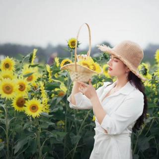 《微闭双眸，感受一脉情深，一叶心念》花瓣雨 朗诵：馨儿