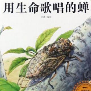 小乐老师讲故事《法布尔昆虫记—用生命唱歌的蝉之蝉的卵》（来自FM151810436）