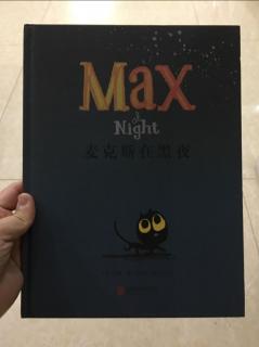 麦克斯在黑夜