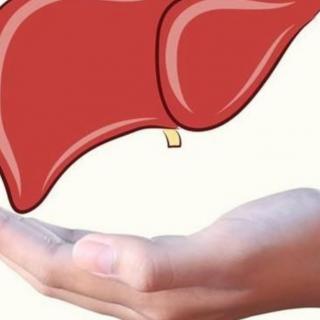 肝脏疾病（肝炎、肝硬化、肝癌）