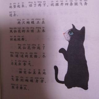 《一只想飞的猫》（一）