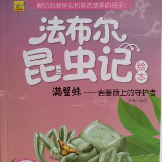 岩蔷薇上的守护者——满蟹蛛