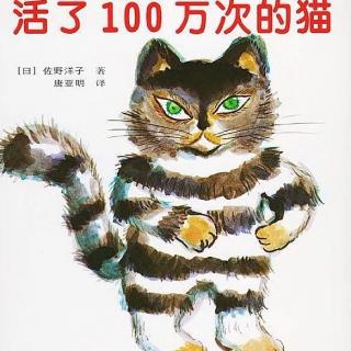 【晚安·好梦】活了100万次的猫