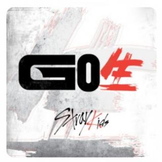 Stray Kids-GO生(GO LIVE)