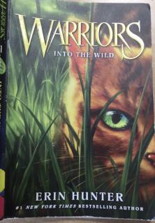 Warriors into the wild chapter 13--Eric