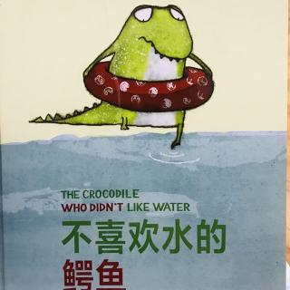 不喜欢水的鳄鱼🐊