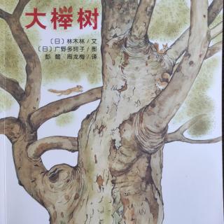 NO.165向日葵系列-大榉树