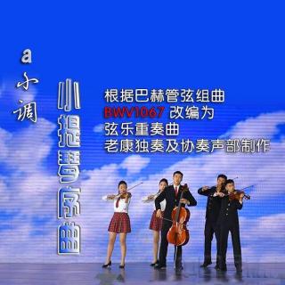 a小调小提琴序曲（播主弦乐版）