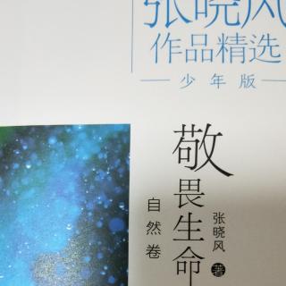 6张晓风《敬畏生命》戈壁行脚