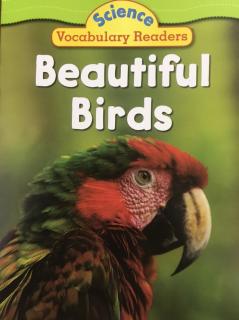 Science Vocabulary Readers - Beautiful Birds