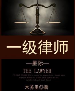 《一级律师》听审3