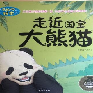 197.走近国宝大熊猫🐼