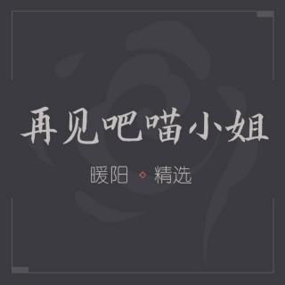 再见吧喵小姐