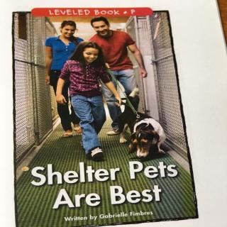 20200705 Shelter pets are best