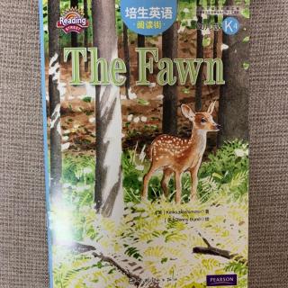 The Fawn