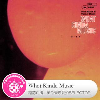 What Kinda Music·糖蒜爱音乐之The Selector