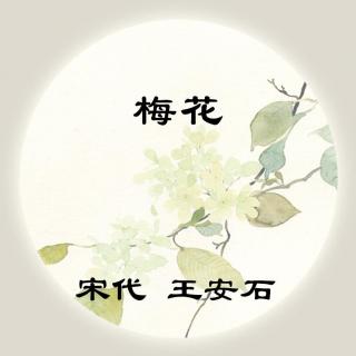 王安石——《梅花》