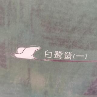 白鹭鸶（一）