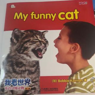 20200710my funny cat（打卡167）