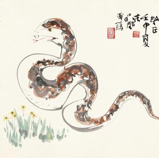 小狗丹尼尔63：花蛇与小乌鸦丨动物西游714集