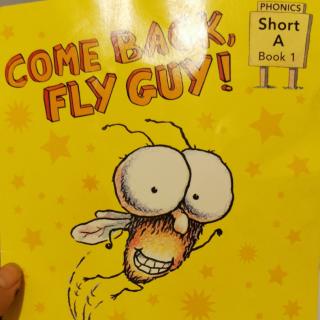 COME BACK FLY GUY!