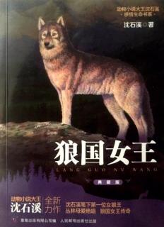 NO.18《狼🐺国女王》沈石溪