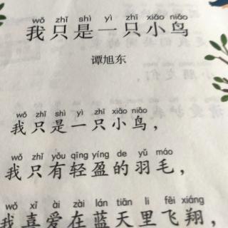 我只是一只小鸟