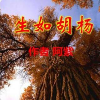 《生如胡杨》阿紫