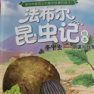 《法布尔昆虫记—圣甲虫》飞蝗泥峰