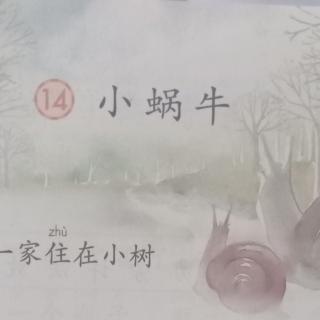 一年级《14小蜗牛》岔小李丽丽