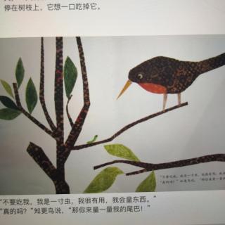 《一寸虫》周周老师o(^o^)o❤️