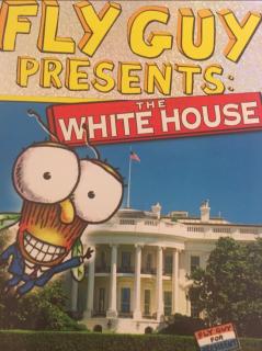 The White House