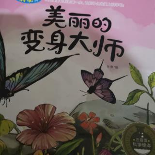 美丽的变身大师