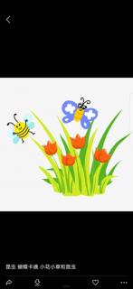 故事《小蜜蜂和蝴蝶》